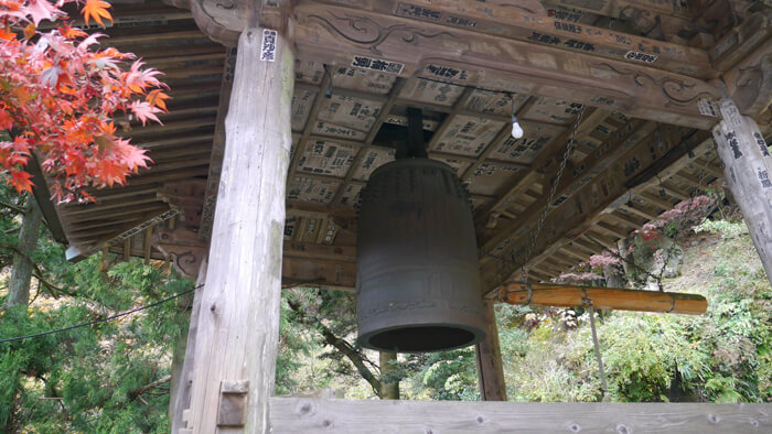大山寺の鐘桜